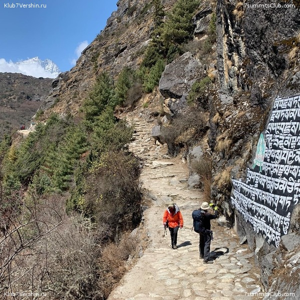 ���������� ������� - ������ 2021. ����� 2, ���� � �������� ������, ���� 155