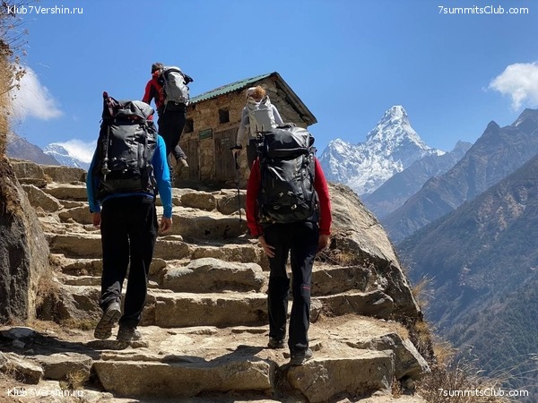   -  2021.  2,    ,  103