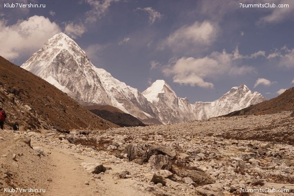   -  2021.  2,    ,  39