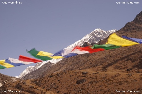   -  2021.  2,    ,  46