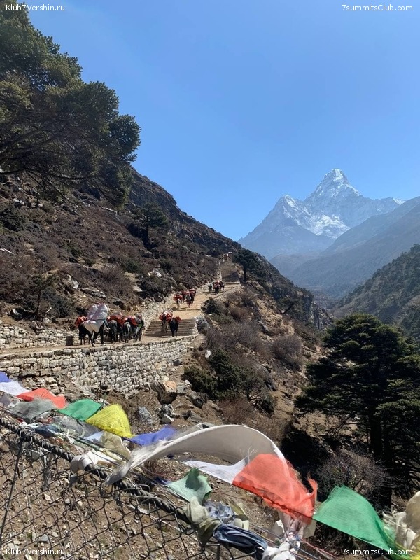 ���������� ������� - ������ 2021. ����� 2, ���� � �������� ������, ���� 182