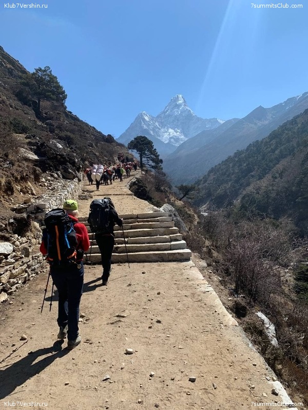 ���������� ������� - ������ 2021. ����� 2, ���� � �������� ������, ���� 183