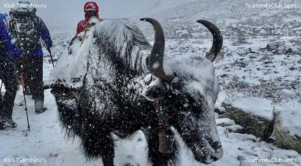   -  2021.  2,    ,  2