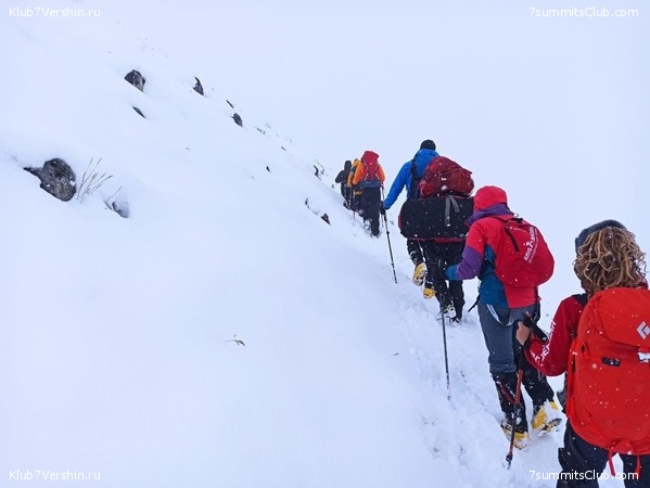   -  2021.  2,    ,  115