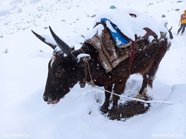 ���������� ������� - ������ 2021. ����� 2, ���� � �������� ������, ���� 119