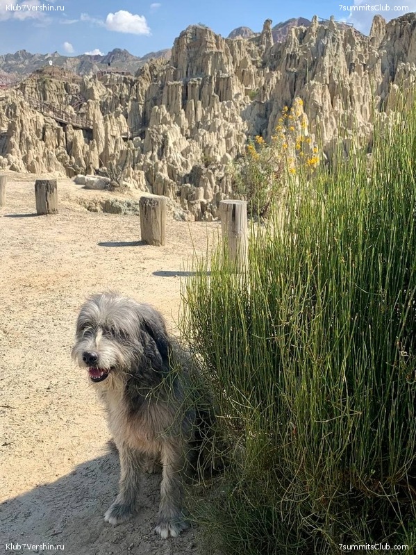 �������. ������ - ��� 2021. ����� ���������, ���� 198