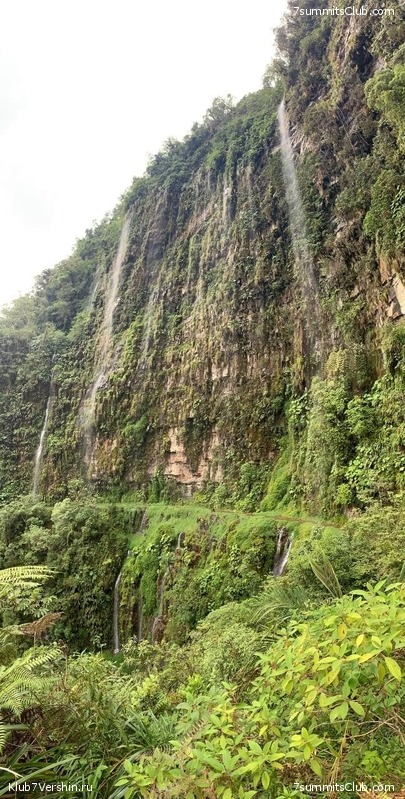 ���������� ������� - ������ 2021. ����� 2, ���� � �������� ������, ���� 194