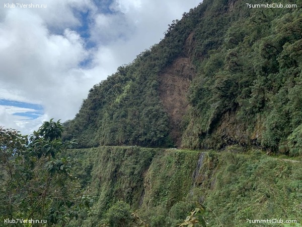   -  2021.  2,    ,  141