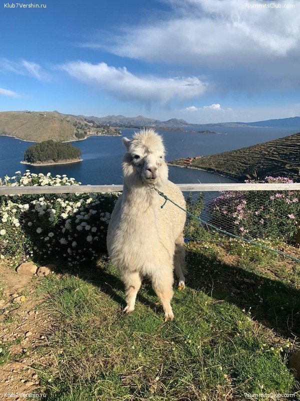 �������. ������ - ��� 2021. ����� ���������, ���� 201