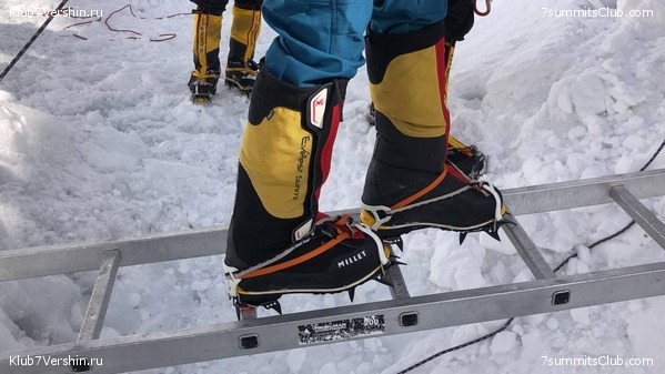   -  2021.  3.    ,  7