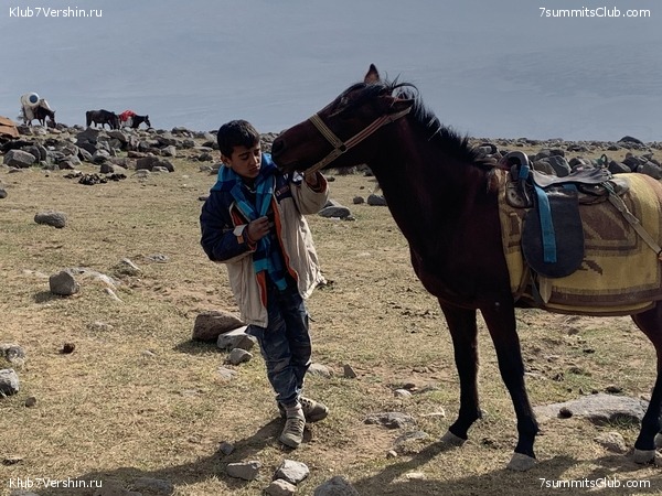 ���� ���� ������ ����������. ������ 12-18 �������� 2020, ���� 13