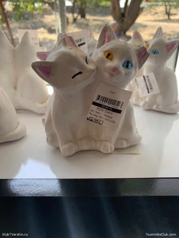 ���� ���� ������ ����������. ������ 12-18 �������� 2020, ���� 36