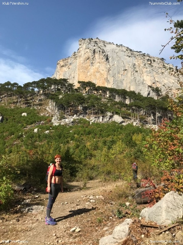 ���� 2020. �����, ���� 87