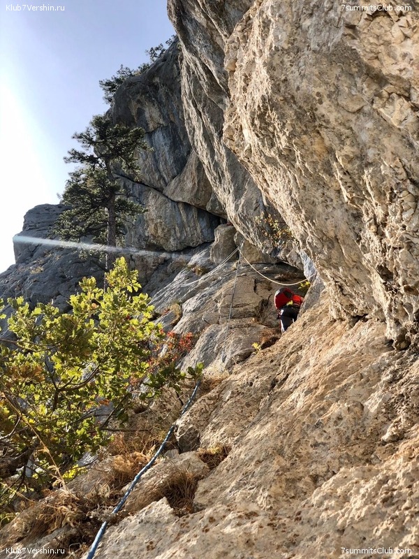 ���� 2020. �����, ���� 90