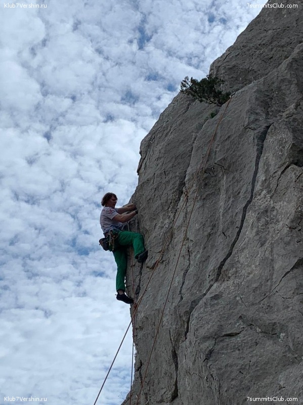 ���� 2020. �����, ���� 101