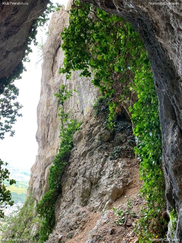 ���� 2020. �����, ���� 105