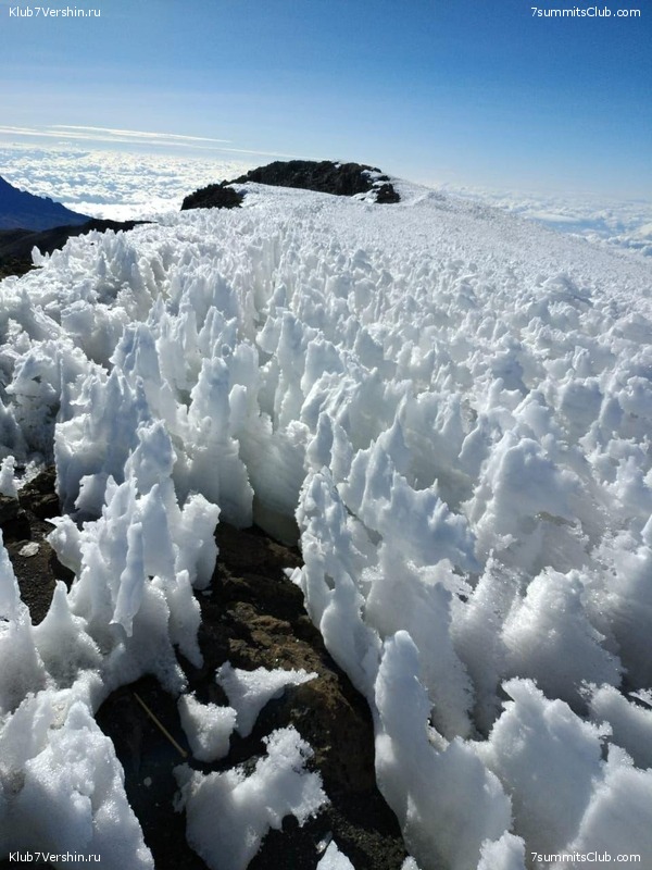 ������������ 2020. ������ - ������, ���� 74