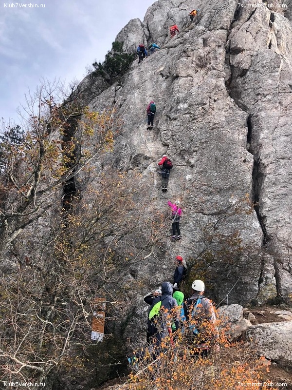 ���� 2020. �����, ���� 107