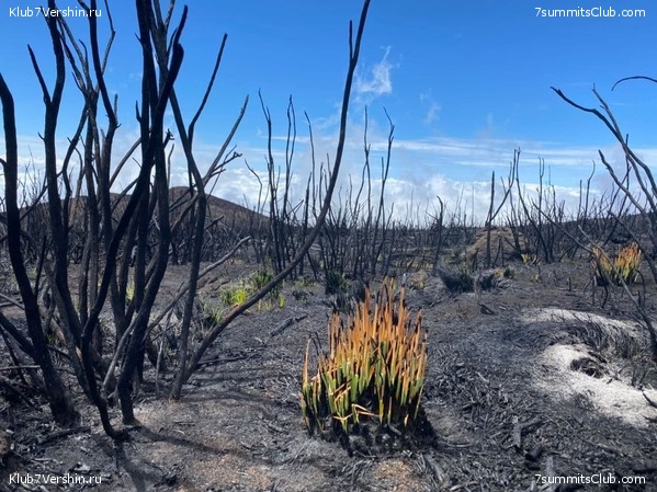 ������������ 2020. ������ - ������, ���� 13