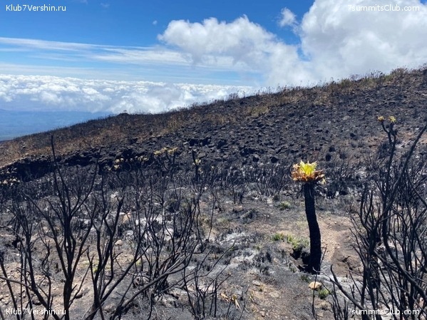 ������������ 2020. ������ - ������, ���� 14