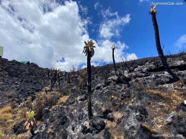 ������������ 2020. ������ - ������, ���� 15