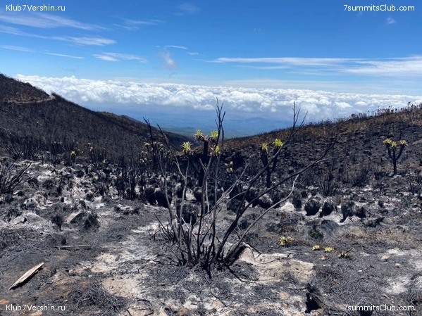 ������������ 2020. ������ - ������, ���� 16