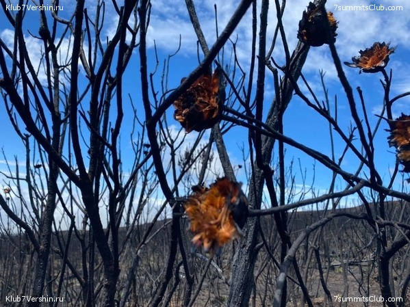 ������������ 2020. ������ - ������, ���� 17