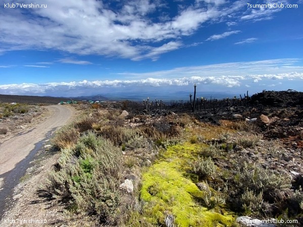 ������������ 2020. ������ - ������, ���� 18