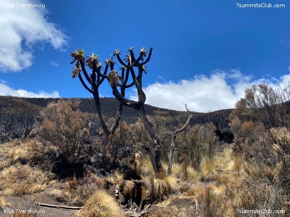 ������������ 2020. ������ - ������, ���� 19