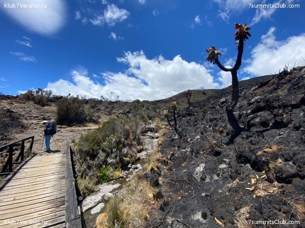 ������������ 2020. ������ - ������, ���� 28