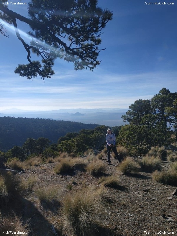 �������, ������� ����� 2020 ����, ���� 31