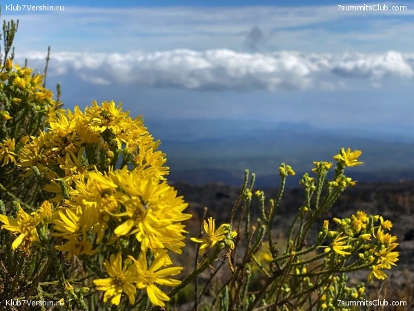 ������������ 2020. ������ - ������, ���� 58