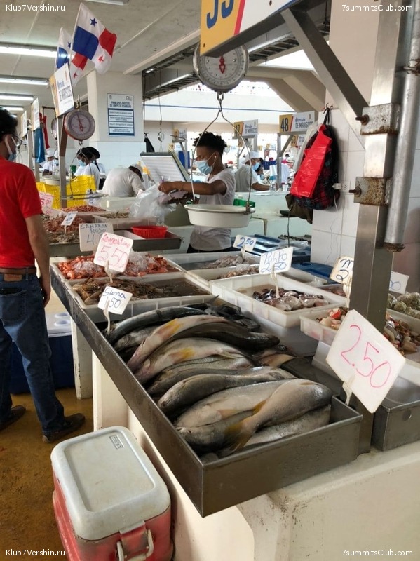 ������� ������ 2020. �. �������, ���� 172