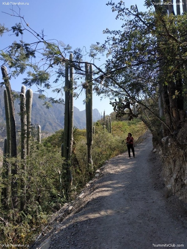 �������, ������� ����� 2020 ����, ���� 54