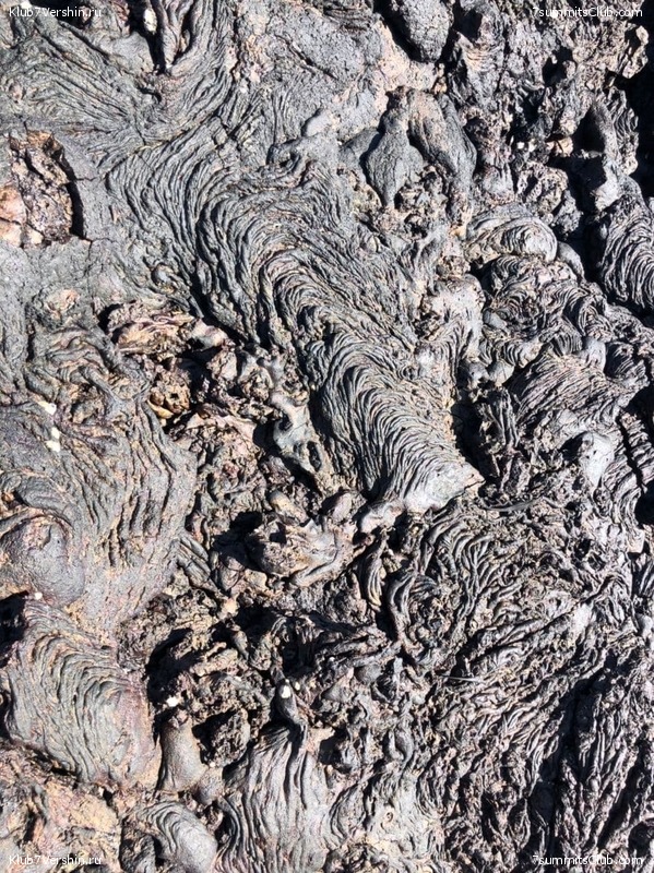 ������� ������ 2020. �. �������, ���� 177