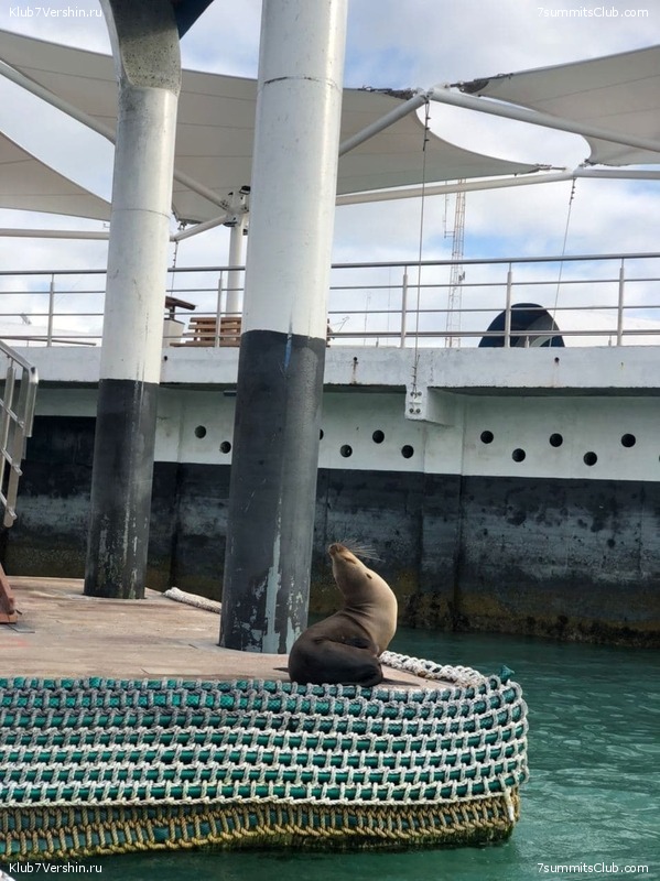 ������� ������ 2020. �. �������, ���� 179