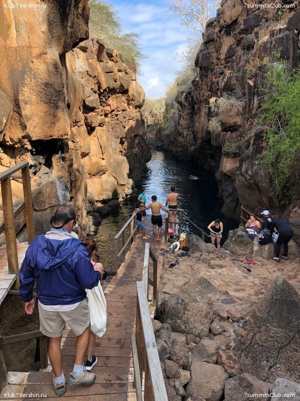 ������� ������ 2020. �. �������, ���� 180