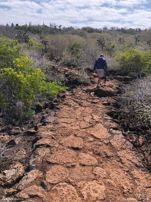 ������� ������ 2020. �. �������, ���� 181