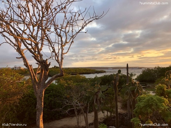 ������� ������ 2020. �. �������, ���� 41