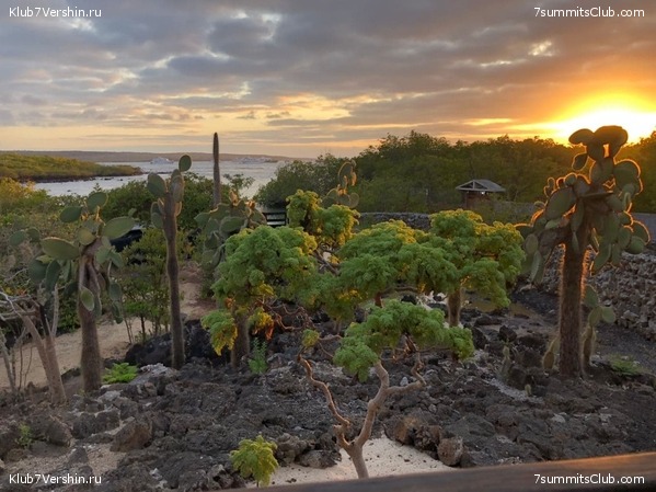 ������� ������ 2020. �. �������, ���� 42