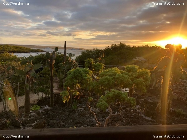 ������� ������ 2020. �. �������, ���� 43