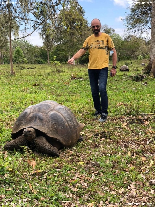 ������� ������ 2020. �. �������, ���� 182