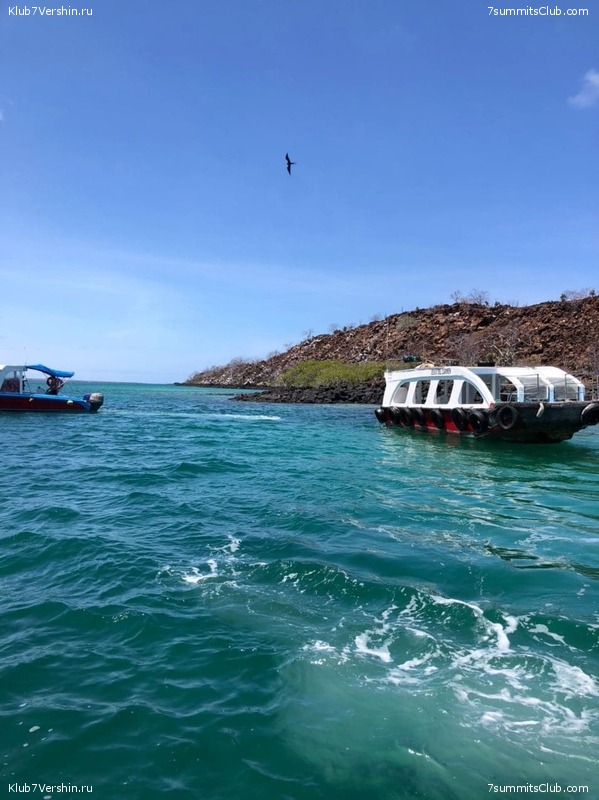 ������� ������ 2020. �. �������, ���� 183