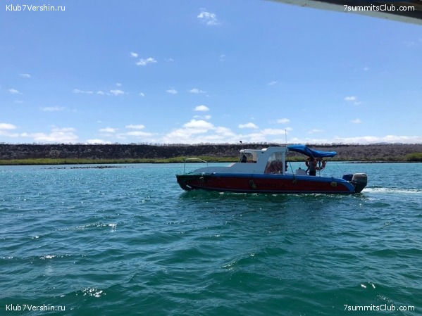 ������� ������ 2020. �. �������, ���� 49