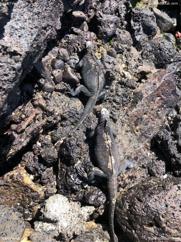 ������� ������ 2020. �. �������, ���� 184