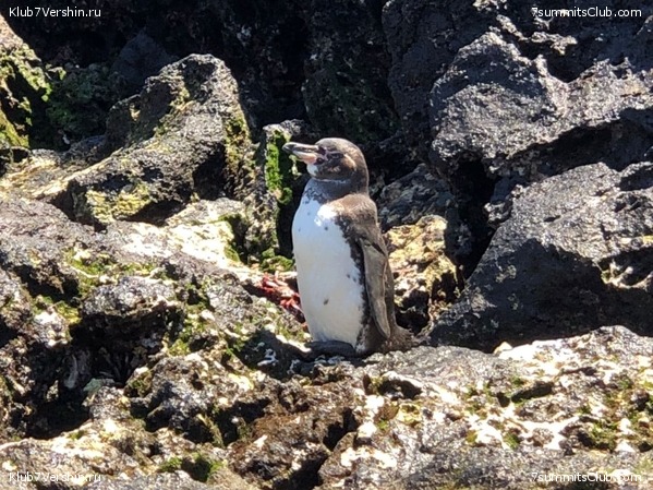 ������� ������ 2020. �. �������, ���� 50