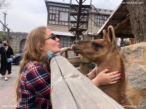 ������� ������ 2020. �. �������, ���� 61