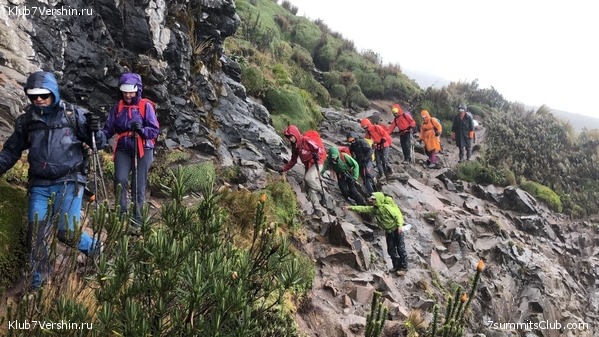 ������� ������ 2020. �. �������, ���� 4