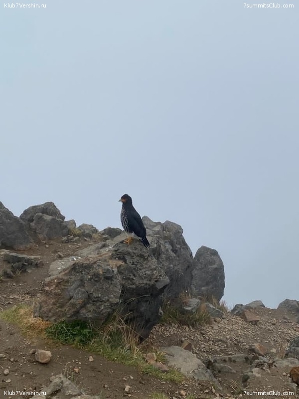 ������� ������ 2020. �. �������, ���� 199