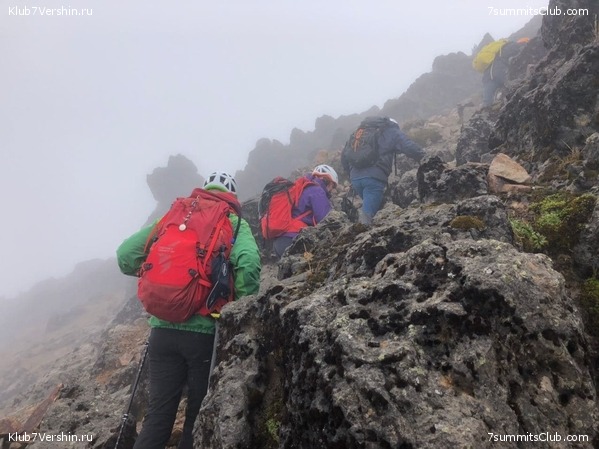 ������� ������ 2020. �. �������, ���� 71